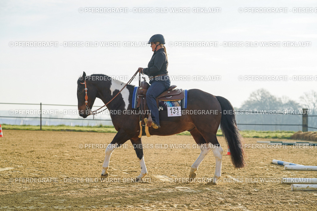 DSC09825 | Pferdegrafie