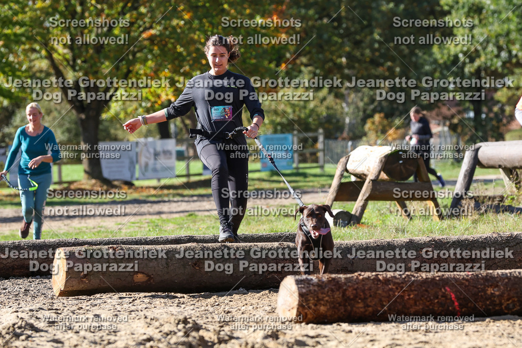 Dog Paparazzi - Strongdog 10-25-4669 | Dog Paparazzi Jeanette Grottendiek Fotografie & Videografie - Realisiert mit Pictrs.com