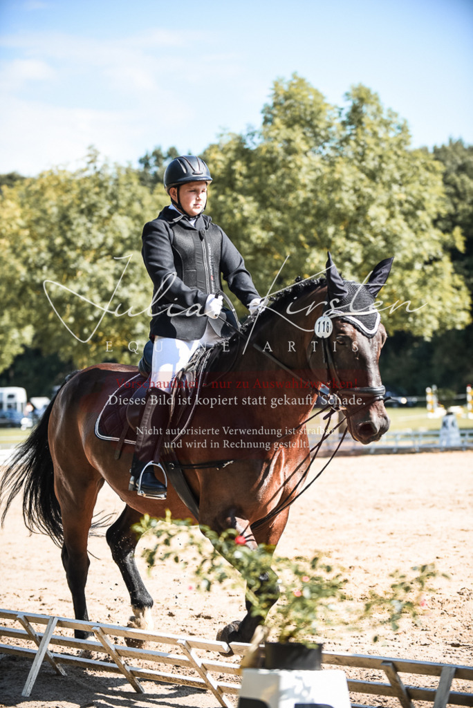 DSC_4617 | Pferde- und Turnierfotografie in Westsachsen. Pferdeportraits, Auftragszeichnungen und intuitive Kunst.
