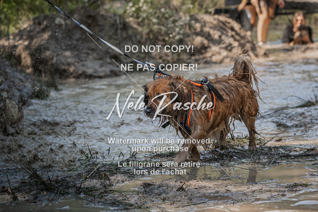 nelerasche_Hoope2026_Sa1500-1530_95 | nelerasche