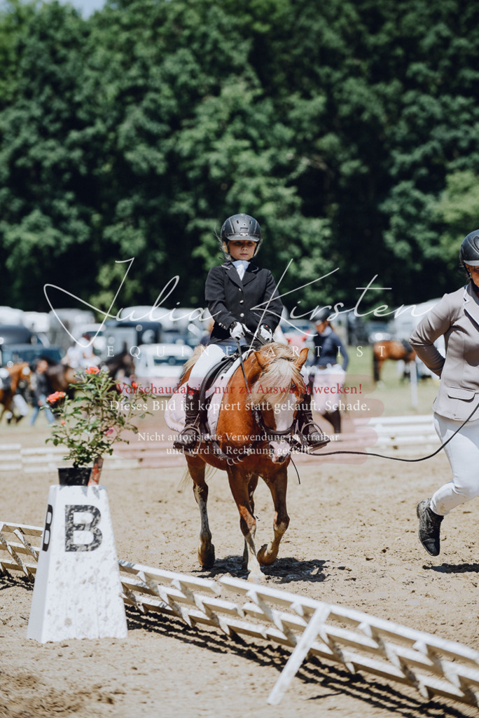 DSC_2249 | Pferde- und Turnierfotografie in Westsachsen. Pferdeportraits, Auftragszeichnungen und intuitive Kunst.