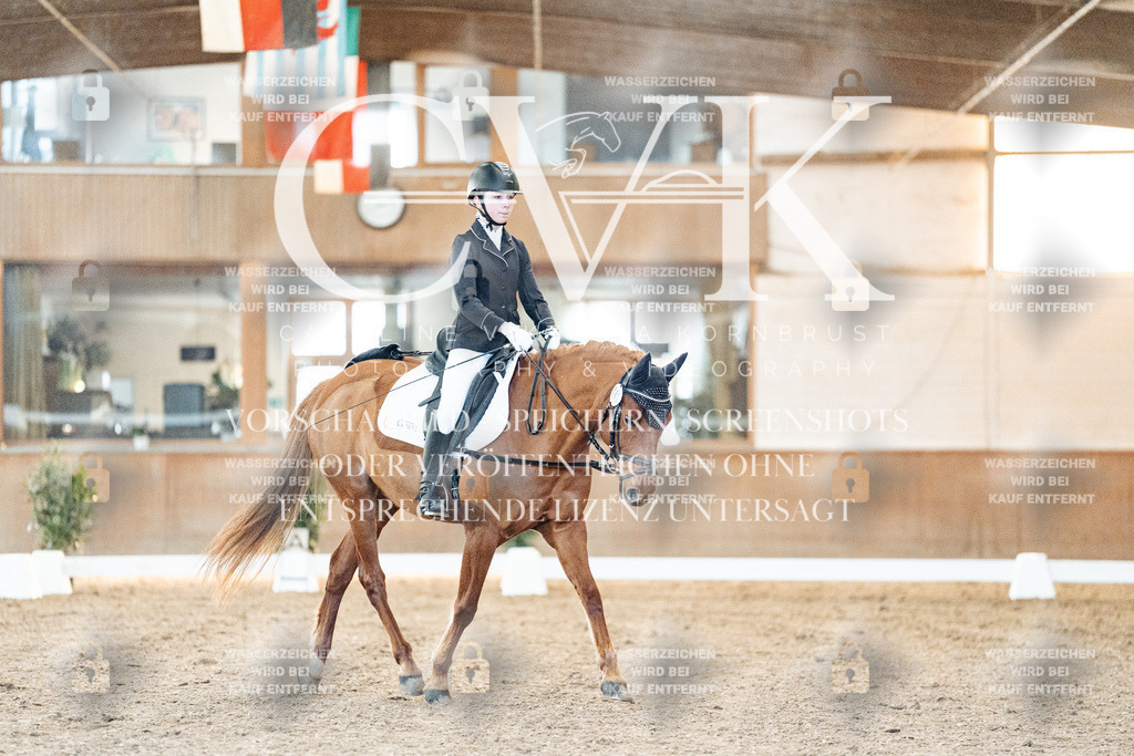 CK906554 | Turnierfotografie Pferdefotografie Trier Rheinland-Pfalz Pferdesport Reitsport Tierfotografie Sportfotografie Pferdevideo Pferdevideografie Equestrianvideography equestrianphotography  - Realisiert mit Pictrs.com