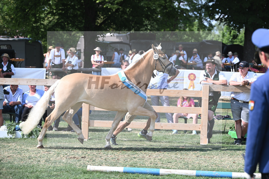 Kat-Nr. 43 Olena_Schuler_20231609 | hf-fotografie - Realisiert mit Pictrs.com