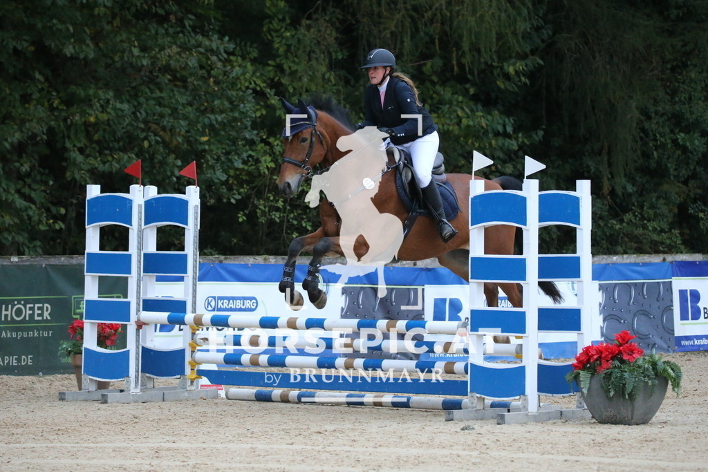 DL2Q3722 | Willkommen bei Brunnmayr - Design & Fotografie – Ihrem Spezialisten für Reitturniere und Pferdeveranstaltungen in Oberösterreich, Salzburg und Bayern! Seit über 17 Jahren sind wir leidenschaftlich dabei.