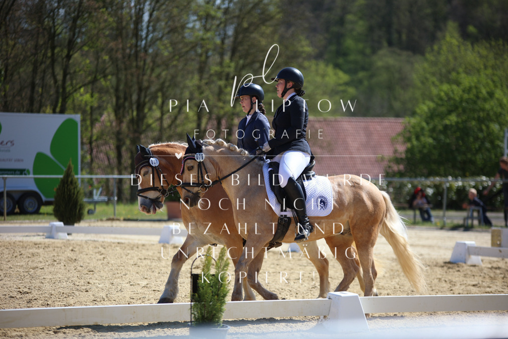 IMGT1711 | pl-fotografie