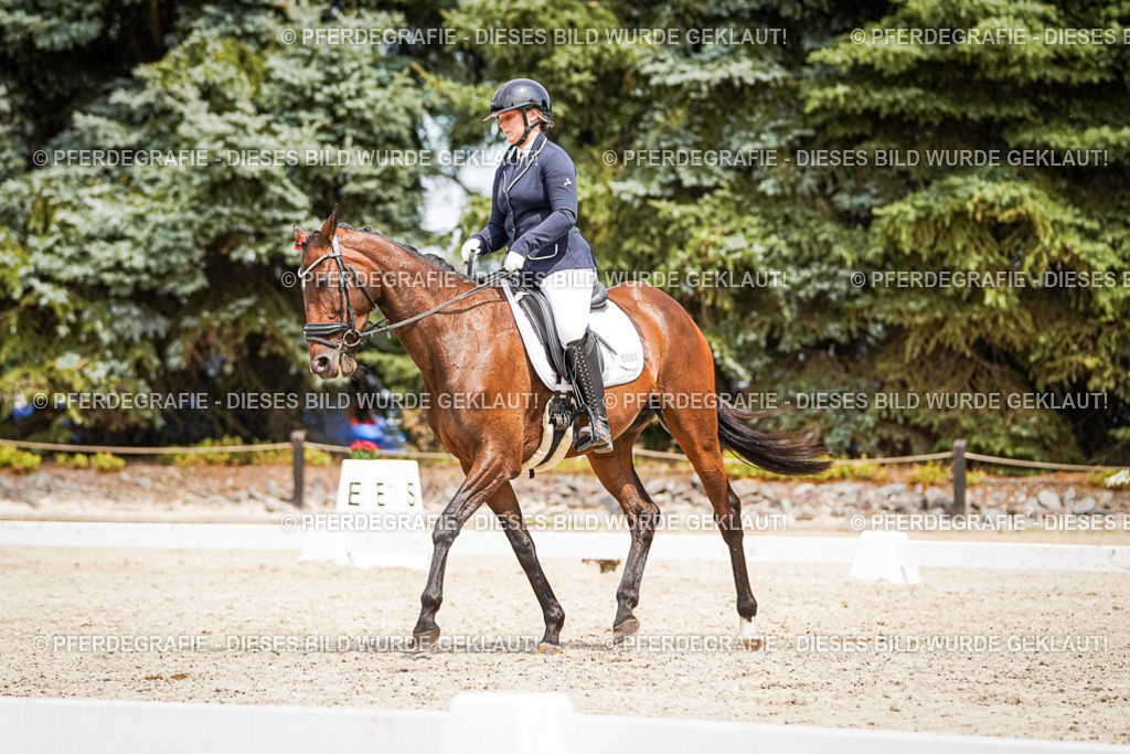 DSC03943 | Pferdegrafie