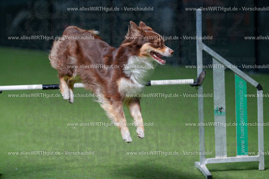 @allesWIRTHgut_Tierfotografie - www.allesWIRTHgut.de - 2604251339-7R503750 | Professionelle Tierfotografie in Mönchengladbach von Daniel Wirth (allesWIRTHgut). Liebevolle & natürliche Bilder von Hunden & Katzen für unvergessliche Erinnerungen.