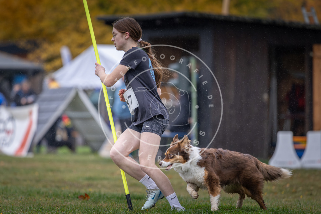 Pfotenfotografie_DV3A9818 | Hundefotografie, Tierfotograf, Pfotenfotografie, Fotoshooting Hund, Hunde Portrait, Hundesport, Hundeportraits, Heideshooting, Hunde, Sportfotograf, Hundefotograf, Turnierhundsport, THS,  - Realisiert mit Pictrs.com