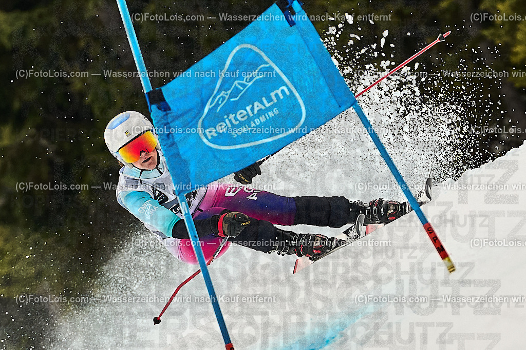 _WWO4432_MASTERS-WM_Reiteralm_CD-SG_FREY Tina | FISWORLD CHAMPIONSHIPSMASTERS ALPINE SKIING, 23. – 28. MÄRZ 2026 - REITERALM | STMK | AUT.   Veranstaltet vom Masters-Referat des Deutschen Skiverbandes (DSV). Durchführende Organisation: WSV Pichl-Reiteralm, unterstütutzt von den Bergbahnen REITERALM bei Schladming und SKI AUSTRIA.                            Disziplinen:  Super-G, GiantSlalom, Slalom.                                                 Kategorien:  A (Herrn 30-59 Jahre), B (Herrn ab 60 Jahre), C (Damen 30-59 Jahre), D (Damen ab 60 Jahre).                Rennstrecken:   Gasselhöhe und Muldenliftpiste auf der Reiteralm.