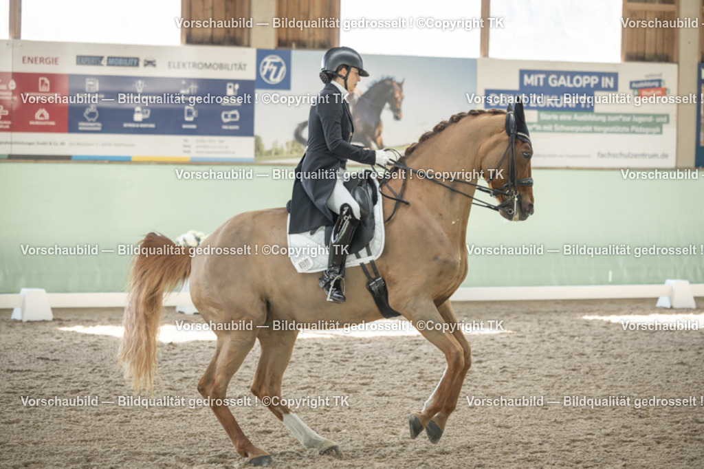 _D5A1380 | Emotionale Pferde- & People-Fotografie rund um Heidelberg, Leimen & Umgebung. Natürliche Fotos von Pferd, Mensch & Familie. Jetzt Termin sichern!