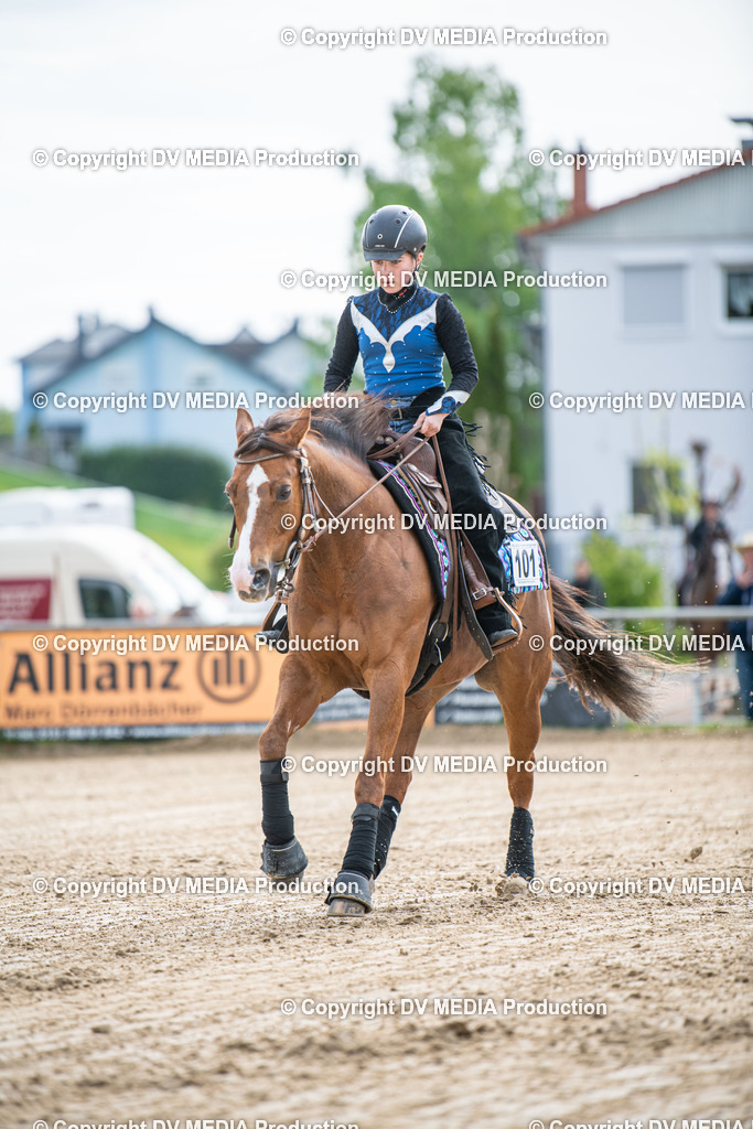 Heiligenwald Tag 3-507 | dv-media-shop - Realisiert mit Pictrs.com