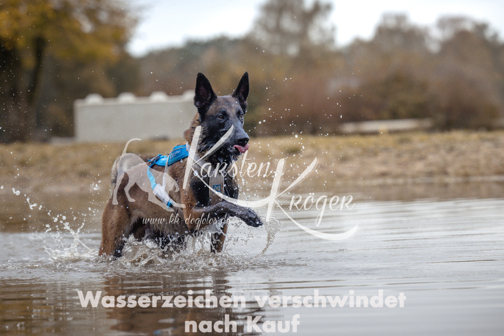 1358_ZZ95048 | kk-dogfotos