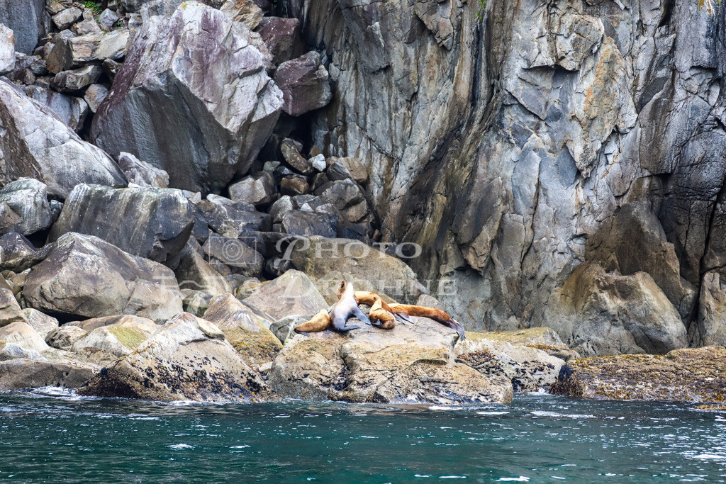 IMG_5459 | Erleben Sie den Zauber des Mittelrheins und entdecken Sie die atemberaubende Auswahl an Fotos und Bildern bei Rheinfotos. Wir bieten eine vielfältige Auswahl an Produkten wie Poster, Karten, Sticker, Textilien und Geschenkartikeln und Fototouren. - Realisiert mit Pictrs.com