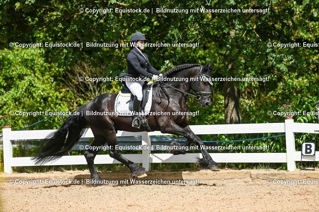 20230715_02_Dressurreiterprüfung Kl.L_0179 | equistock