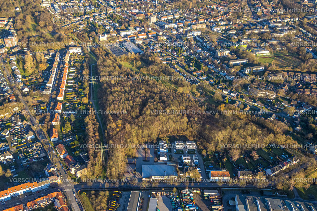Gladbeck240108288 | Luftbild, Südpark Waldgebiet, Aldi Supermarkt und Wohnsiedlung Roßheidestraße, Brauck, Gladbeck, Ruhrgebiet, Nordrhein-Westfalen, Deutschland