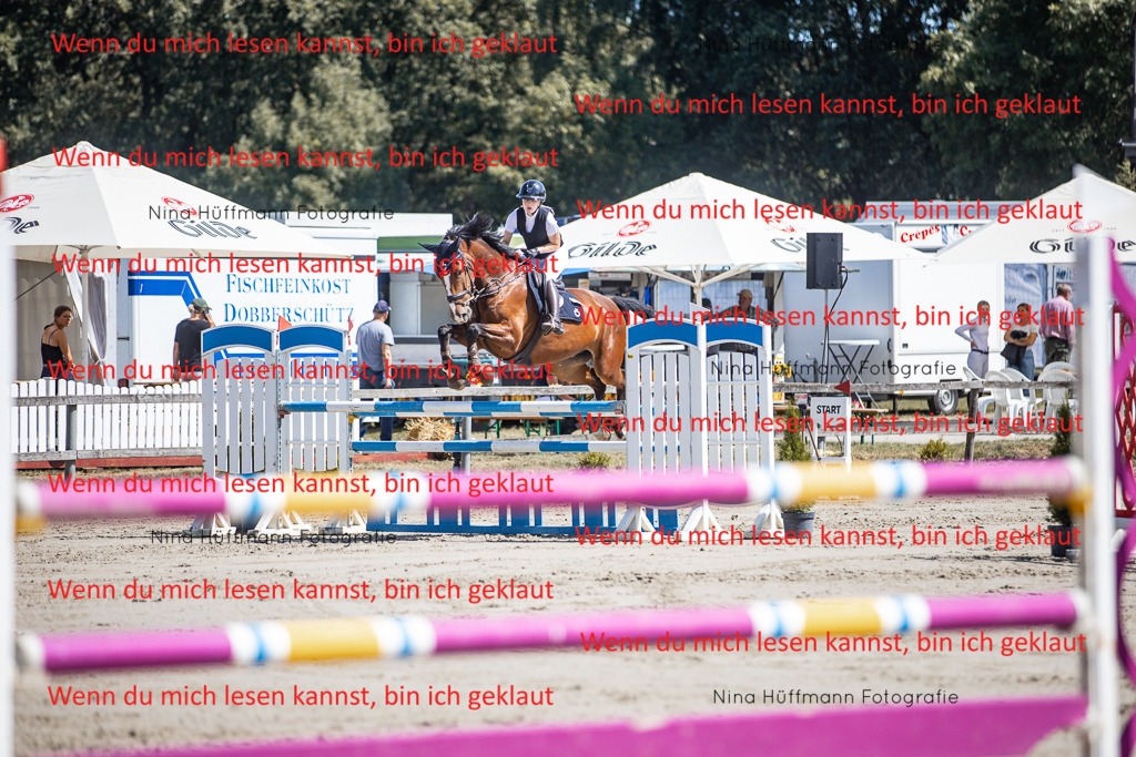 BK1A6642 | Turnierbilder Turnierfotos Nina Hüffmann Turnierfotografie Pferdefotografie Tierzeichnung Haustierzeichnung Pferdezeichnung Hundezeichnung Videograf  - Realisiert mit Pictrs.com