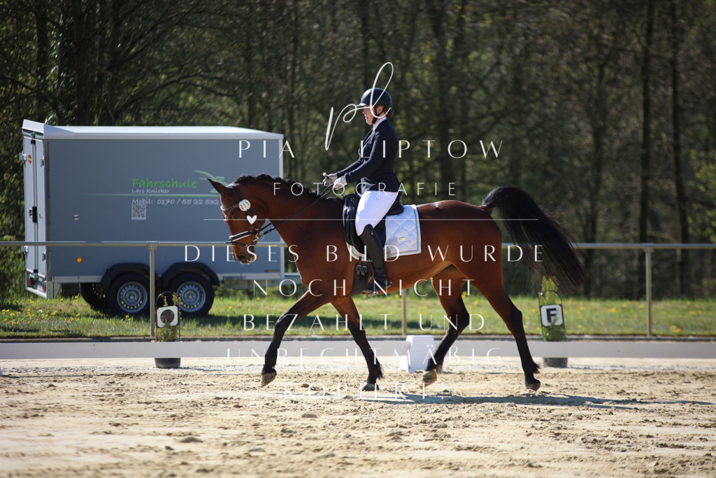 IMGT9434 | pl-fotografie