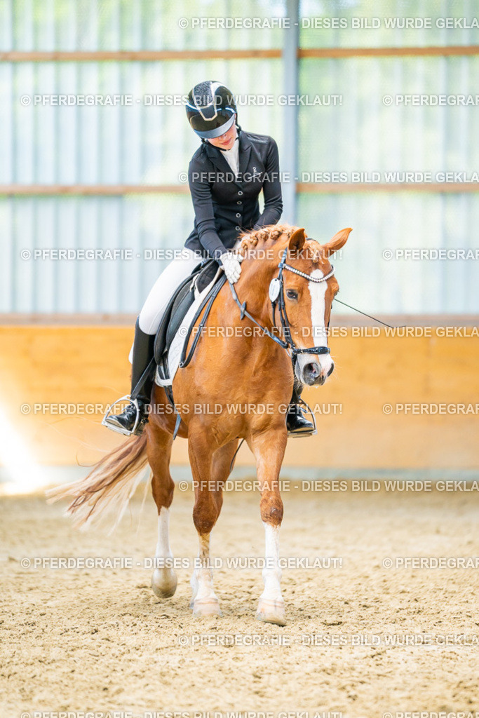 DSC08200 | Pferdegrafie