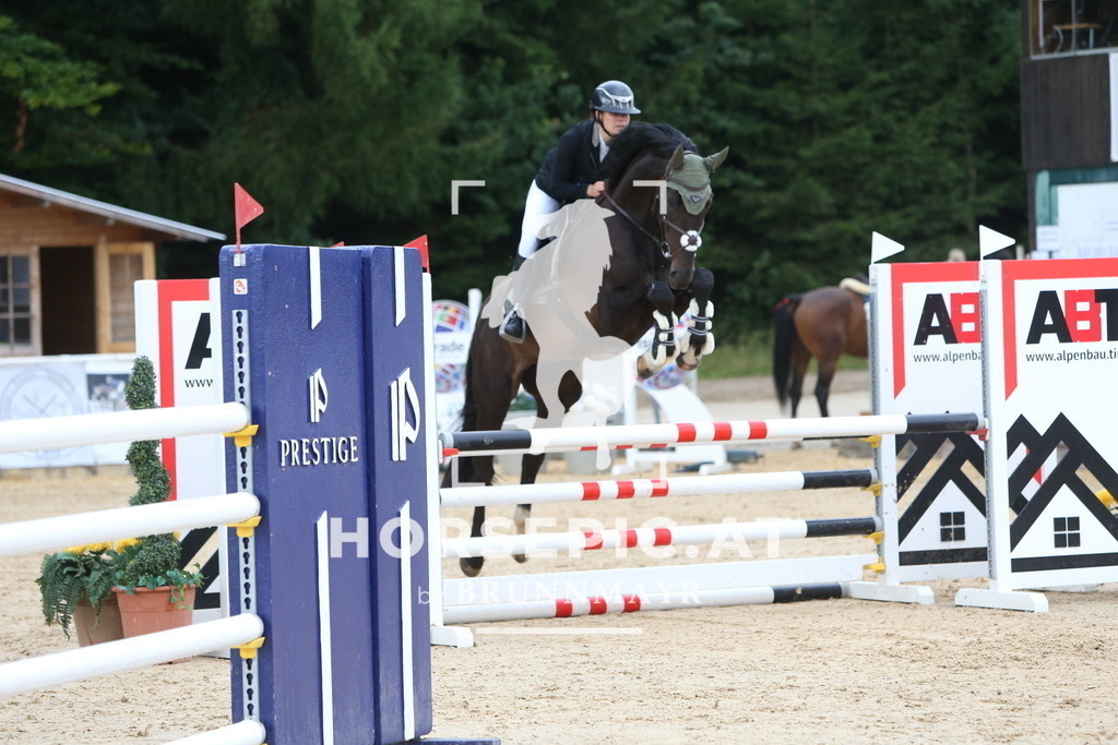 DL2Q4184 | Willkommen bei Brunnmayr - Design & Fotografie – Ihrem Spezialisten für Reitturniere und Pferdeveranstaltungen in Oberösterreich, Salzburg und Bayern! Seit über 17 Jahren sind wir leidenschaftlich dabei.