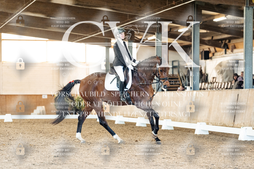 CK908074 | Turnierfotografie Pferdefotografie Trier Rheinland-Pfalz Pferdesport Reitsport Tierfotografie Sportfotografie Pferdevideo Pferdevideografie Equestrianvideography equestrianphotography  - Realisiert mit Pictrs.com