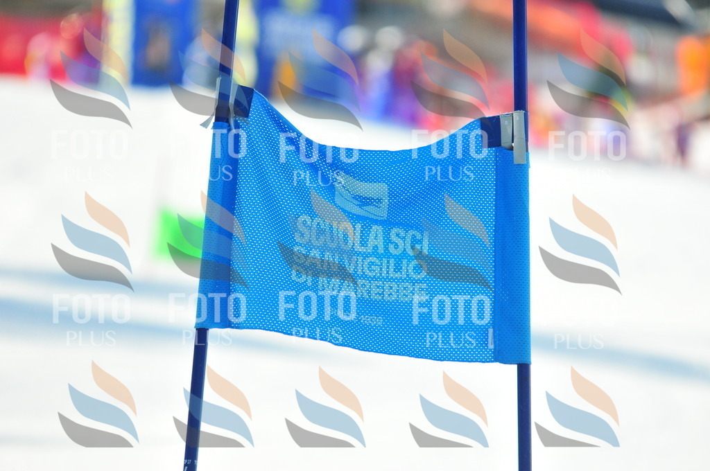 B8833 | holidayphoto