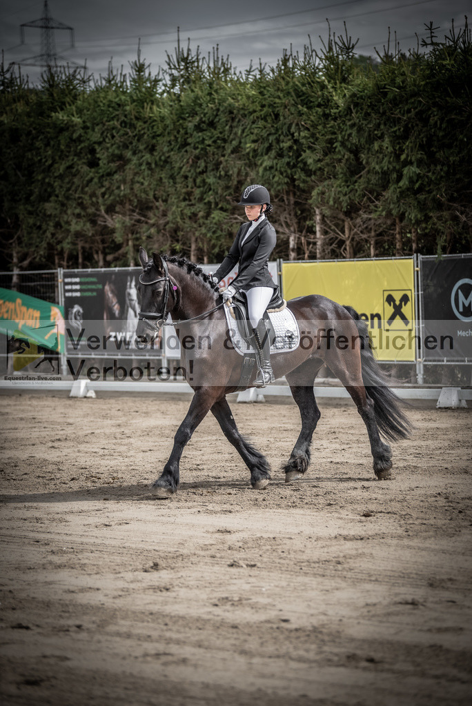 DSC_9176 | equestrian-live-com