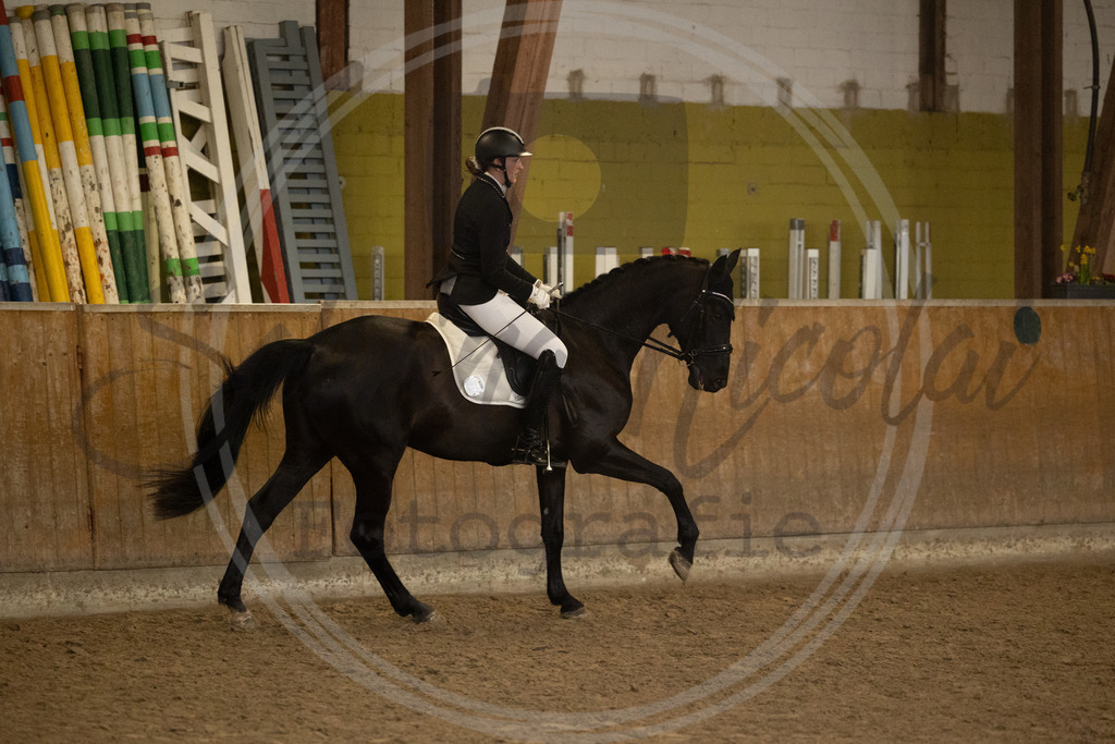 994A9304 | sabrinanicolaifotografie - Realisiert mit Pictrs.com