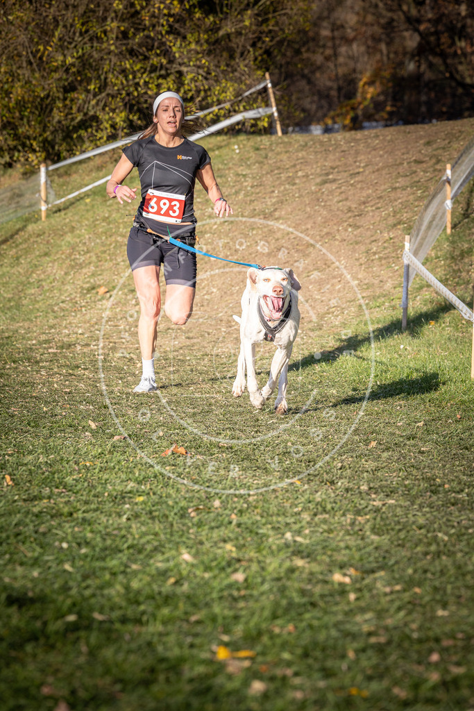 CaniXpix_0L8A9358 | Hundefotografie, Tierfotograf, Pfotenfotografie, Fotoshooting Hund, Hunde Portrait, Hundesport, Hundeportraits, Heideshooting, Hunde, Sportfotograf, Hundefotograf, Turnierhundsport, THS,  - Realisiert mit Pictrs.com