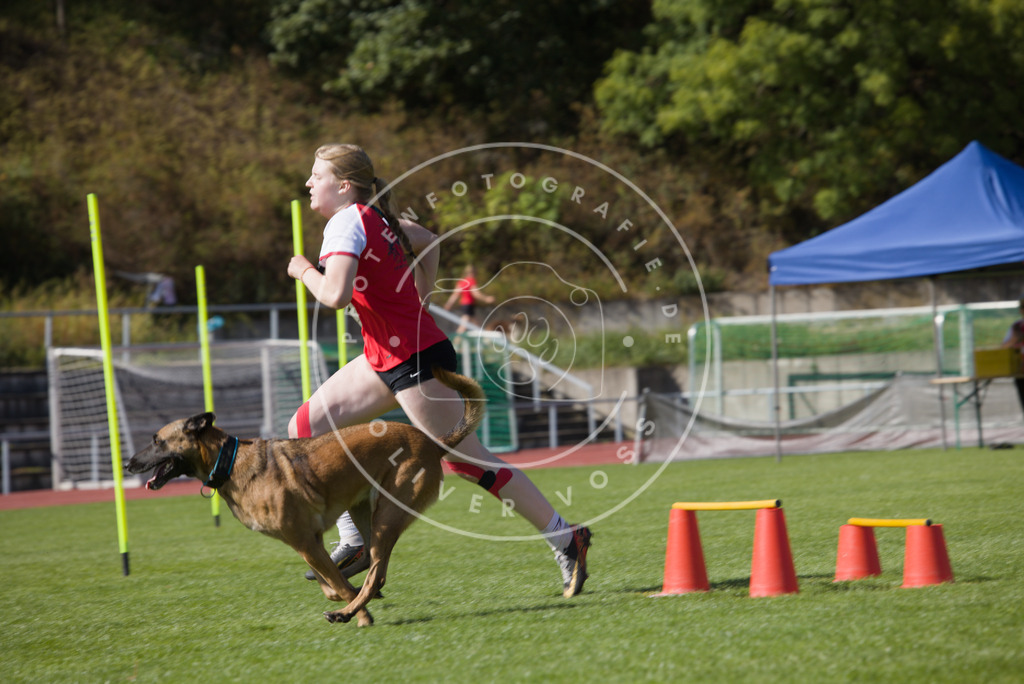 0L8A7575 | Hundefotografie, Tierfotograf, Pfotenfotografie, Fotoshooting Hund, Hunde Portrait, Hundesport, Hundeportraits, Heideshooting, Hunde, Sportfotograf, Hundefotograf, Turnierhundsport, THS,  - Realisiert mit Pictrs.com