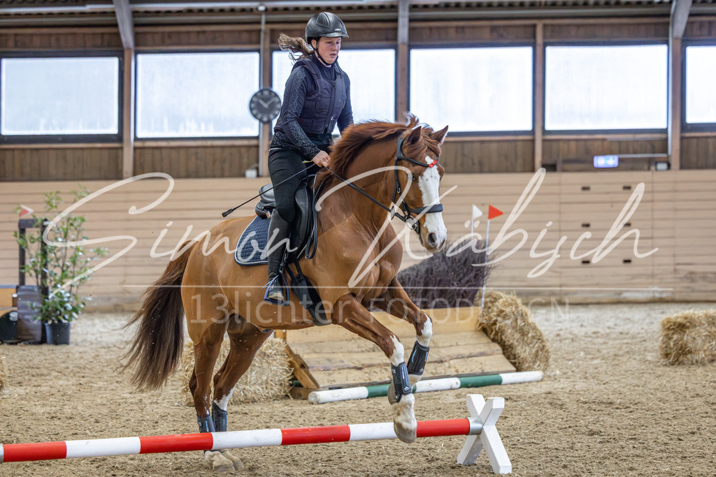 20260222-_3LI1531 | Tierfotografie Pferde, Hunde, Katzen, Haustiere.
Turnierfotografie Reitturniere, Reiten, Springreiten, Dressur in Hanau, dem Main-Kinzig-Kreis und dem Rhein-Main- Gebiet um Frankfurt