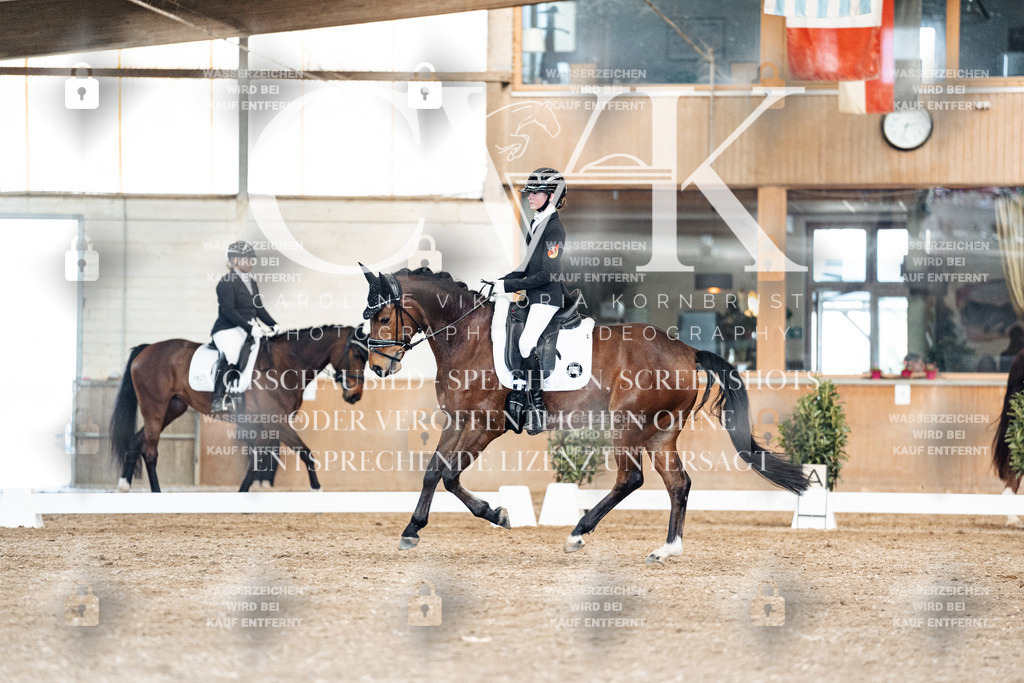 CK901500 | Turnierfotografie Pferdefotografie Trier Rheinland-Pfalz Pferdesport Reitsport Tierfotografie Sportfotografie Pferdevideo Pferdevideografie Equestrianvideography equestrianphotography  - Realisiert mit Pictrs.com