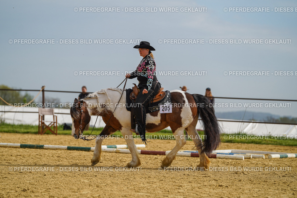 DSC02152 | Pferdegrafie