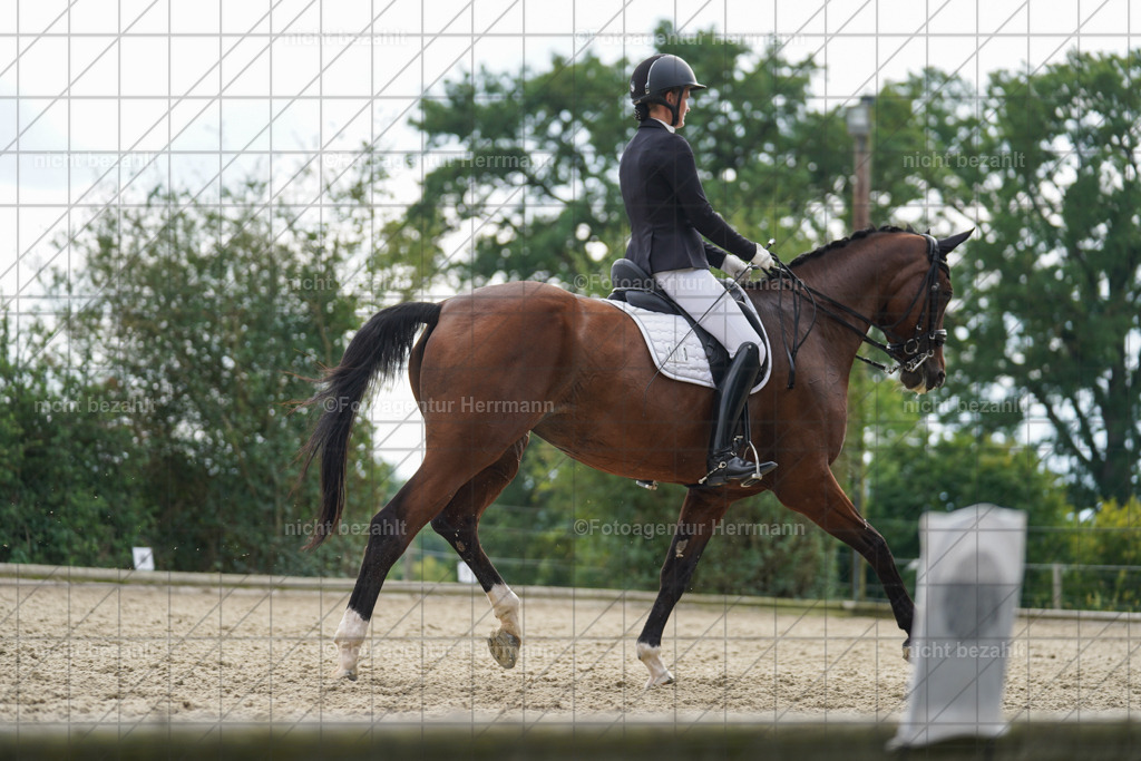 20230826-FAH06193 | Forstinning, 2023, Dressurturnier, Turniersportbilder, Turnierfotografen Bayern, Fotoagentur Herrmann, Reitsportfotografie, Turnierbilder