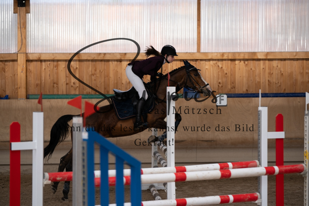 A7V00920 | Pferdefotograf