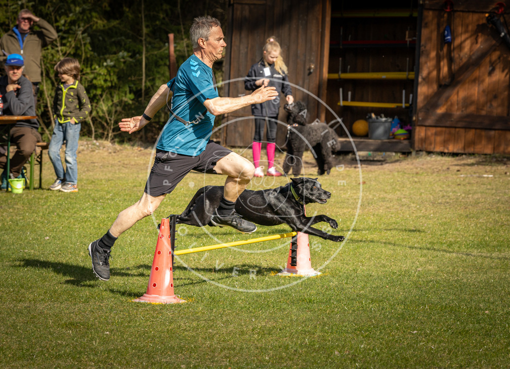 Pfotenfotografie_DV3A1541 | Hundefotografie, Tierfotograf, Pfotenfotografie, Fotoshooting Hund, Hunde Portrait, Hundesport, Hundeportraits, Heideshooting, Hunde, Sportfotograf, Hundefotograf, Turnierhundsport, THS,  - Realisiert mit Pictrs.com