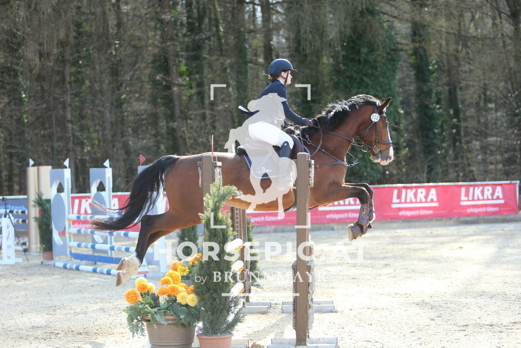DL2Q3967 | Willkommen bei Brunnmayr - Design & Fotografie – Ihrem Spezialisten für Reitturniere und Pferdeveranstaltungen in Oberösterreich, Salzburg und Bayern! Seit über 17 Jahren sind wir leidenschaftlich dabei.