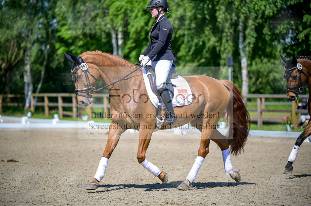 Reitturnier Lienen | Entdecke hochwertige Reitturnierfotos von Foto Oger. Professionell, emotional und authentisch – jetzt Lieblingsmomente im Shop bestellen. - Realisiert mit Pictrs.com