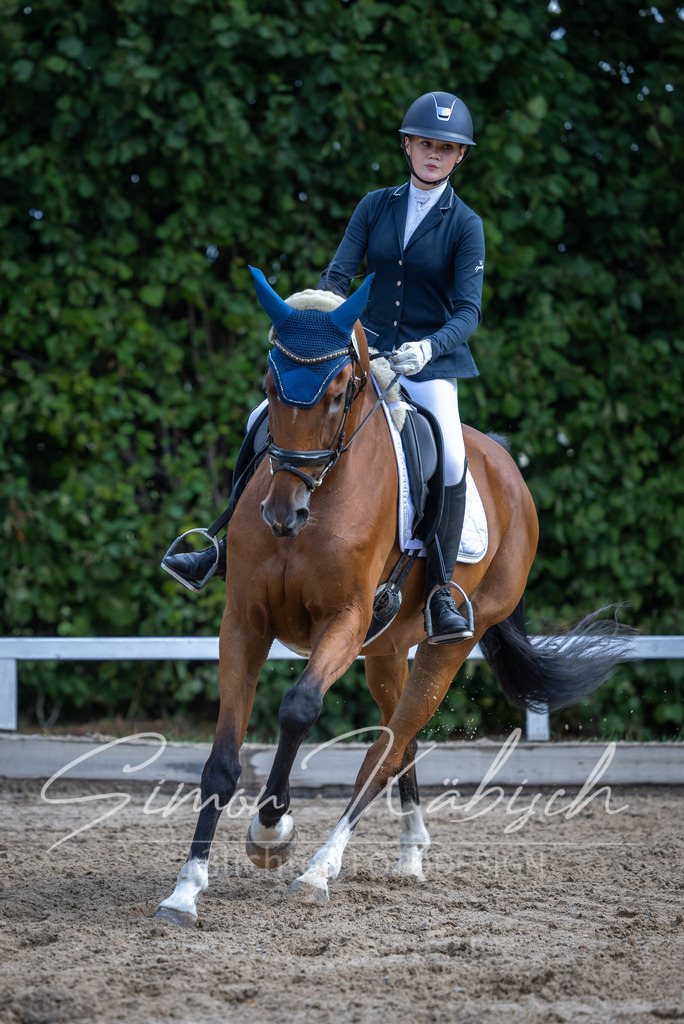 20260905-_3LI7883 | Tierfotografie Pferde, Hunde, Katzen, Haustiere.
Turnierfotografie Reitturniere, Reiten, Springreiten, Dressur in Hanau, dem Main-Kinzig-Kreis und dem Rhein-Main- Gebiet um Frankfurt