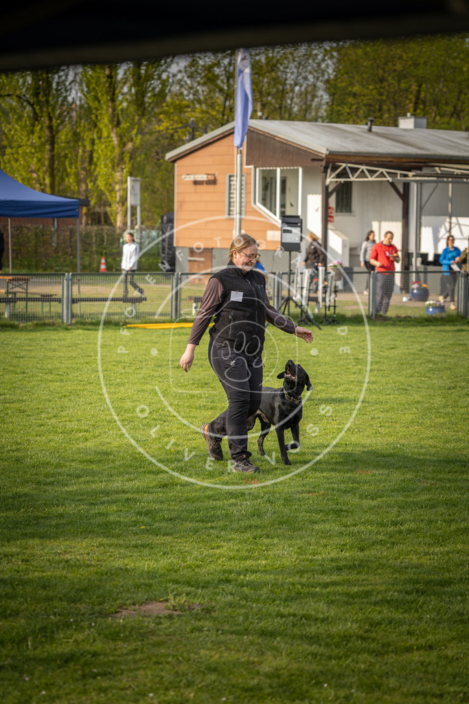 Pfotenfotografie_DV3A4753 | Hundefotografie, Tierfotograf, Pfotenfotografie, Fotoshooting Hund, Hunde Portrait, Hundesport, Hundeportraits, Heideshooting, Hunde, Sportfotograf, Hundefotograf, Turnierhundsport, THS,  - Realisiert mit Pictrs.com