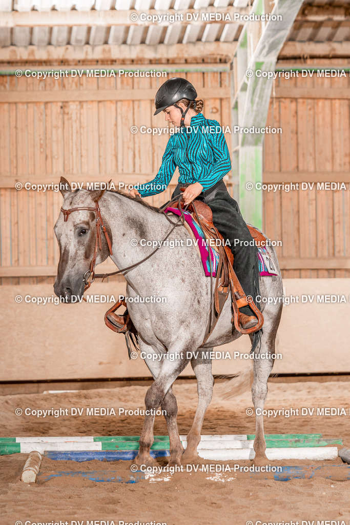 Balingen Tag 3-800 | dv-media-shop - Realisiert mit Pictrs.com