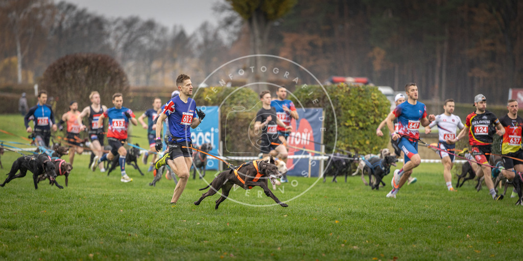 CaniXpix_DV3A9453 | Hundefotografie, Tierfotograf, Pfotenfotografie, Fotoshooting Hund, Hunde Portrait, Hundesport, Hundeportraits, Heideshooting, Hunde, Sportfotograf, Hundefotograf, Turnierhundsport, THS,  - Realisiert mit Pictrs.com