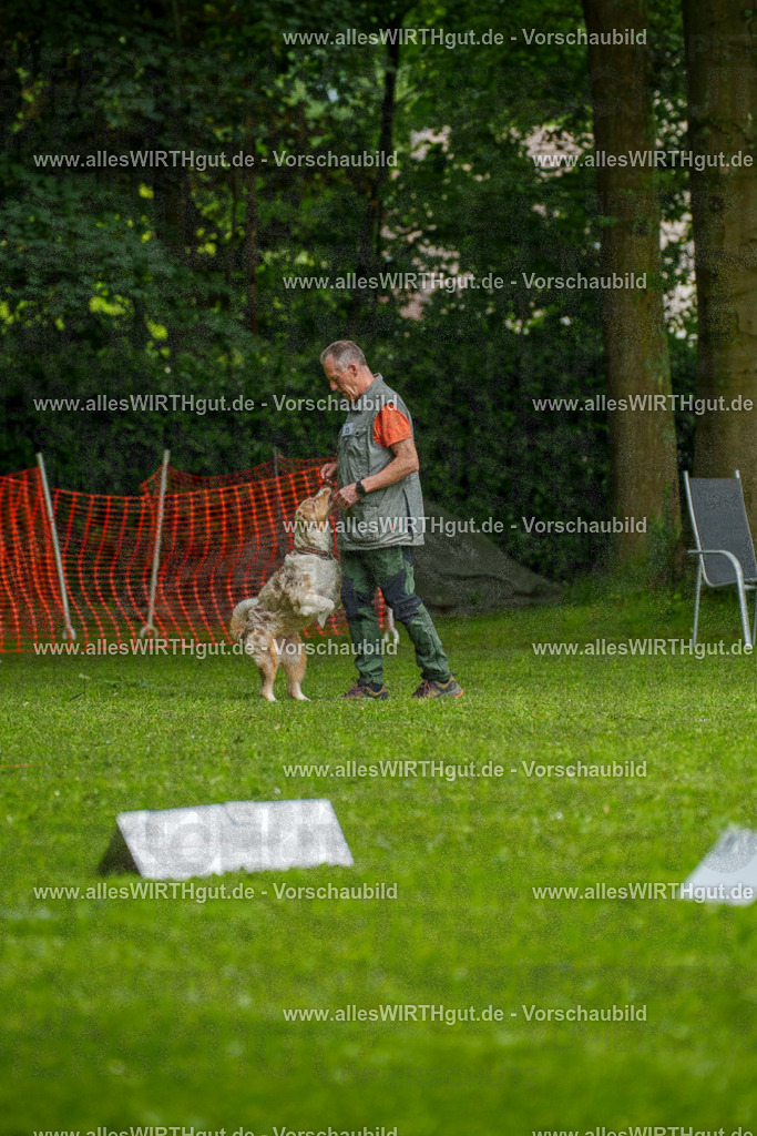 @allesWIRTHgut_Tierfotografie - www.allesWIRTHgut.de - 7R502804 | Professionelle Tierfotografie in Mönchengladbach von Daniel Wirth (allesWIRTHgut). Liebevolle & natürliche Bilder von Hunden & Katzen für unvergessliche Erinnerungen.