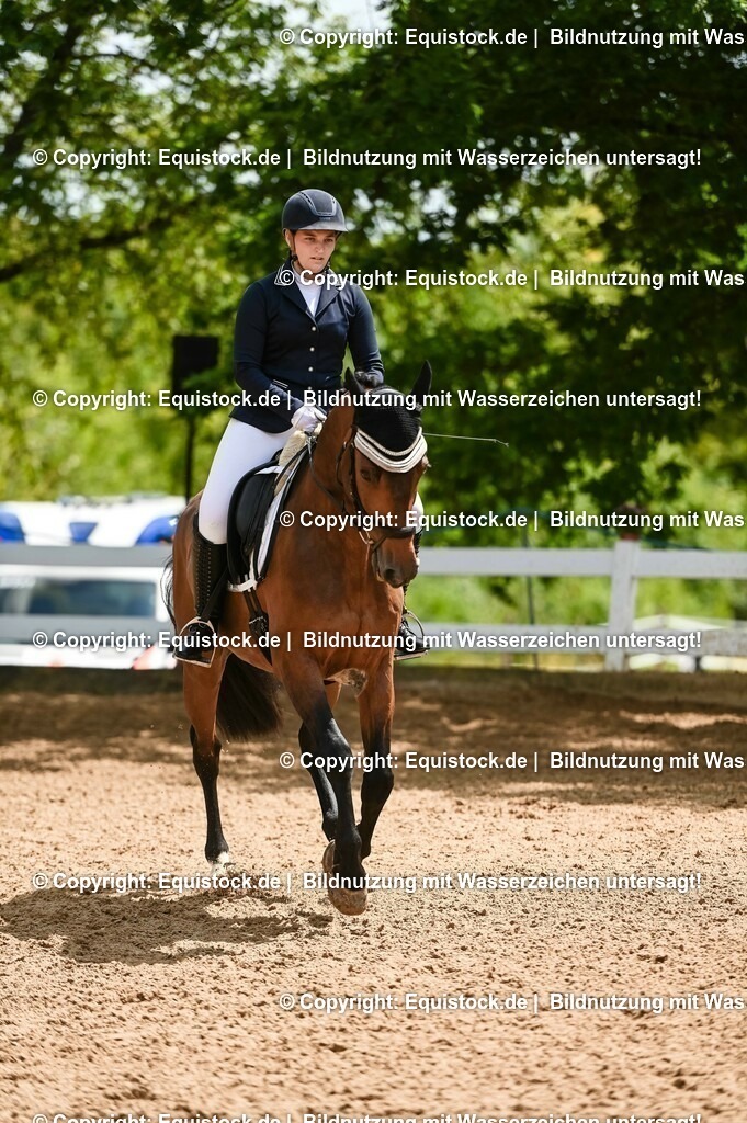 20230716_03_Dressurprfg. Kl.L - Tr._0681 | equistock
