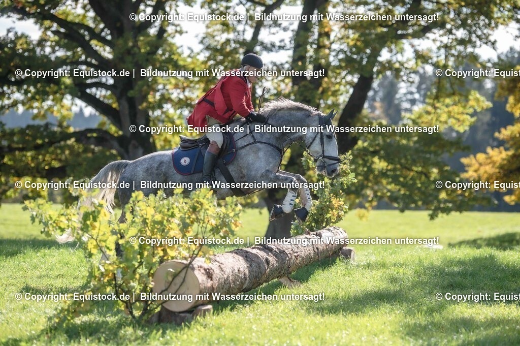 20251011_Jagd-Marbach_0410 | Foto: Thomas Hartig