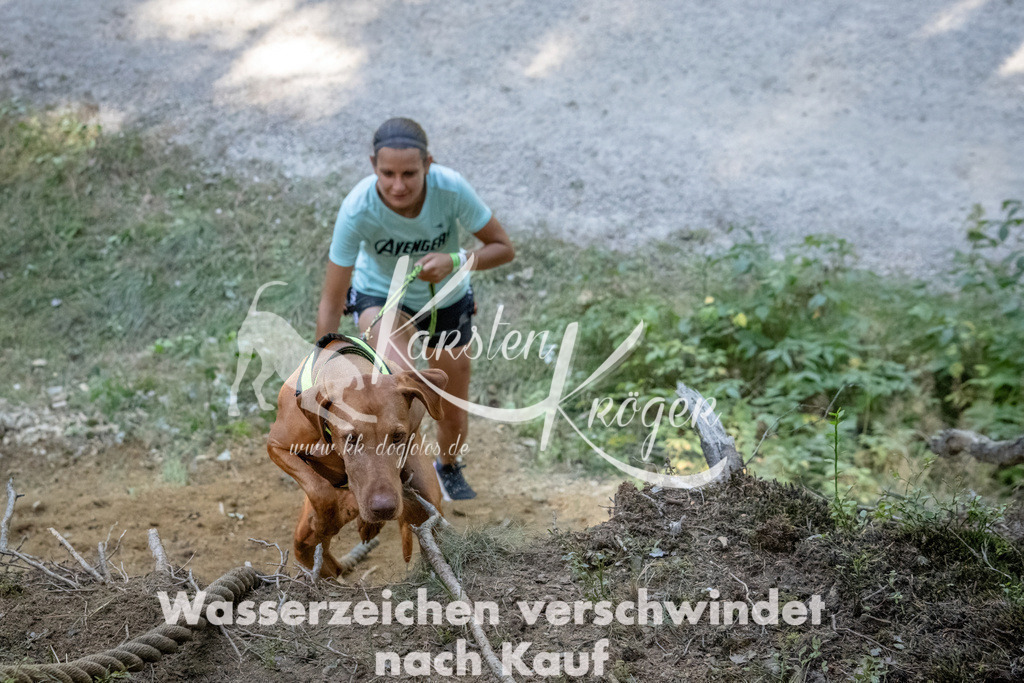 1206_ZZ93464 | kk-dogfotos