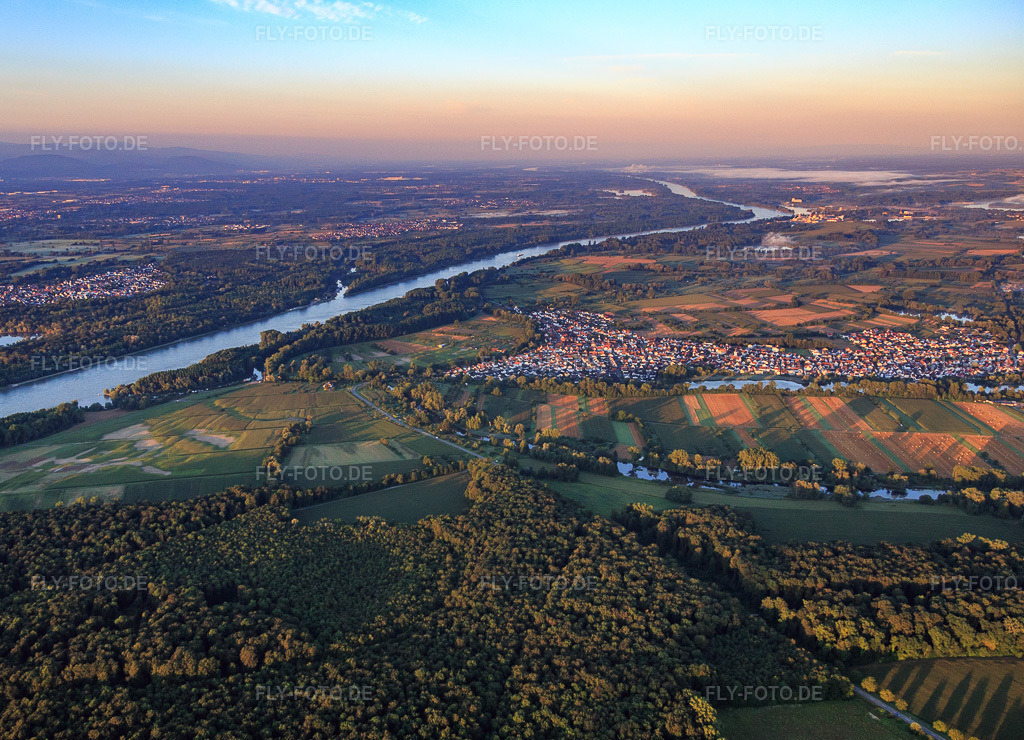 Luftbild: Rhein und Dorfansicht am Morgen aus Norden in Neuburg am Rhein im Bundesland Rheinland-Pfalz in Deutschland. Foto: IMG_092205.jpg vom 01.08.2016 durch Werner Riehm/FLY-FOTO.de