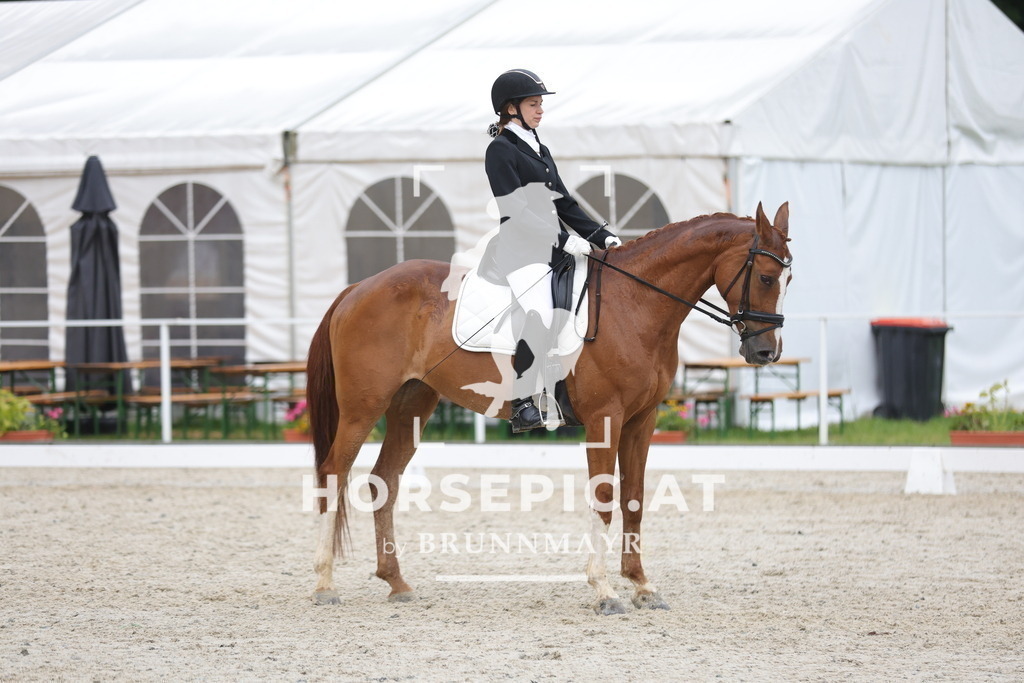 0P6A3570 | Willkommen bei Brunnmayr - Design & Fotografie – Ihrem Spezialisten für Reitturniere und Pferdeveranstaltungen in Oberösterreich, Salzburg und Bayern! Seit über 17 Jahren sind wir leidenschaftlich dabei.