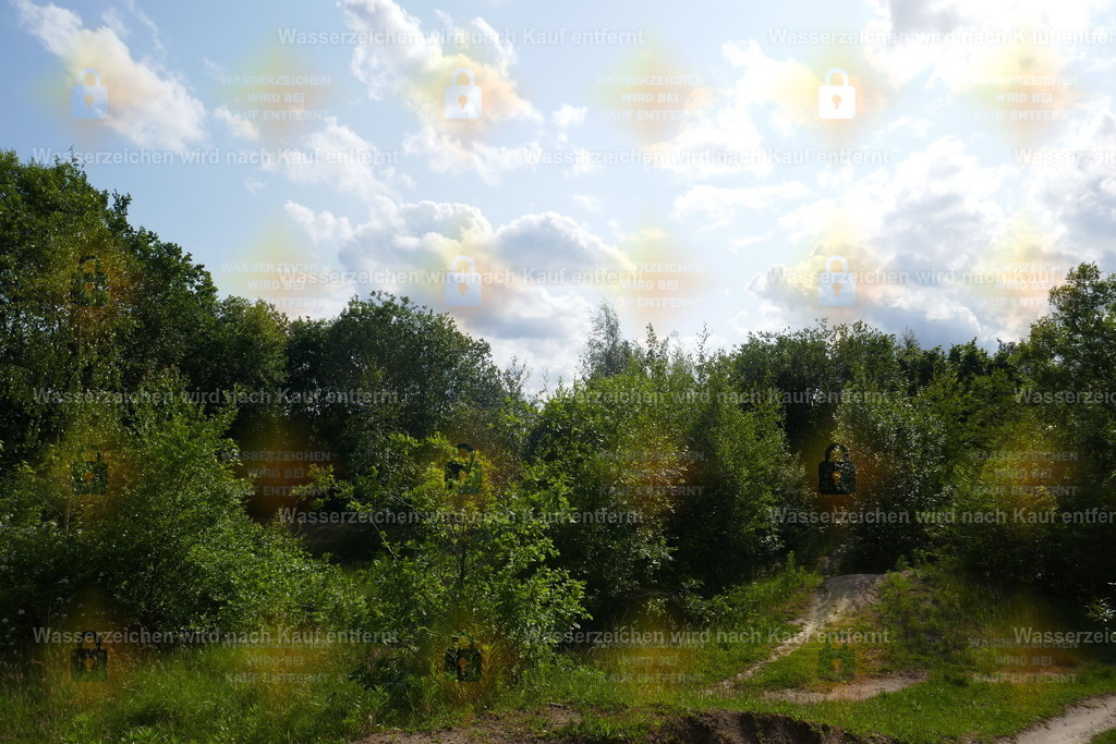 P1110015 | Fotoseite Wolkenblende - Das Hobby fotografieren begleitet mich schon  viele  Jahre. Auf den nächsten Seiten zeige ich ein paar Schnappschüsse der letzten Jahre und es kommen immer neue hinzu. Schau einfach mal rein. - Realisiert mit Pictrs.com