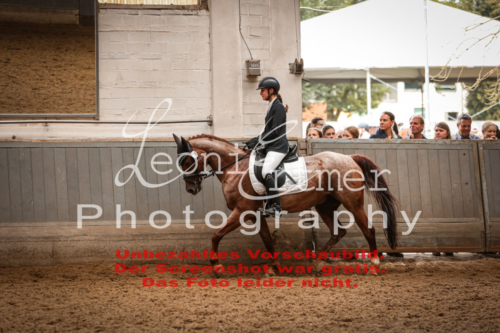 5.SoDrE00120 | Leoni Ertmer Photography - Realisiert mit Pictrs.com
