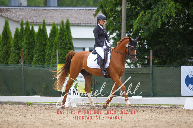 DKP42303 | Turniersportfotografie; Pferdefotografie; Dressurfotografie